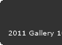2011 Gallery 101